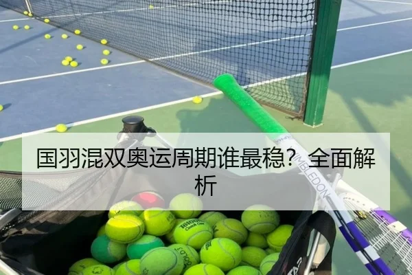 国羽混双奥运周期谁最稳？全面解析